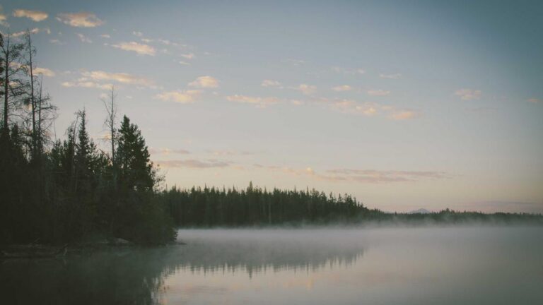 I Found Out My Mother’s Biggest Secret at Her Own Funeral